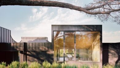 Уникальный дом с «рогами» в Калифорнии стал новой иконой архитектуры