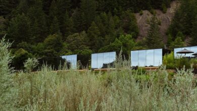 Зеркальные домики-невидимки в Орегоне растворяются в дикой природе