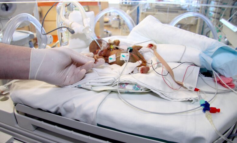 Суд отпустил фигурантов дела Plus Ultra о возможном отмывании денег