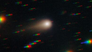 Наука недели: межзвёздная комета