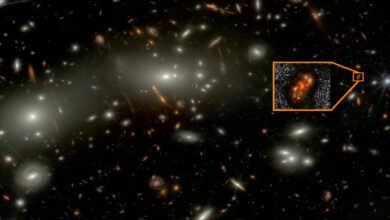 Космический телескоп «Джеймс Уэбб» обнаружил спиральную галактику в ранней Вселенной