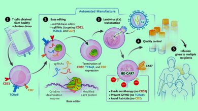 Впервые в мире: редактированные CAR-T-клетки показали успех при Т-лимфобластном лейкозе