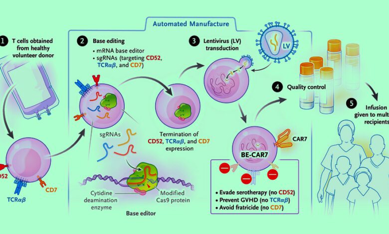 Впервые в мире: редактированные CAR-T-клетки показали успех при Т-лимфобластном лейкозе