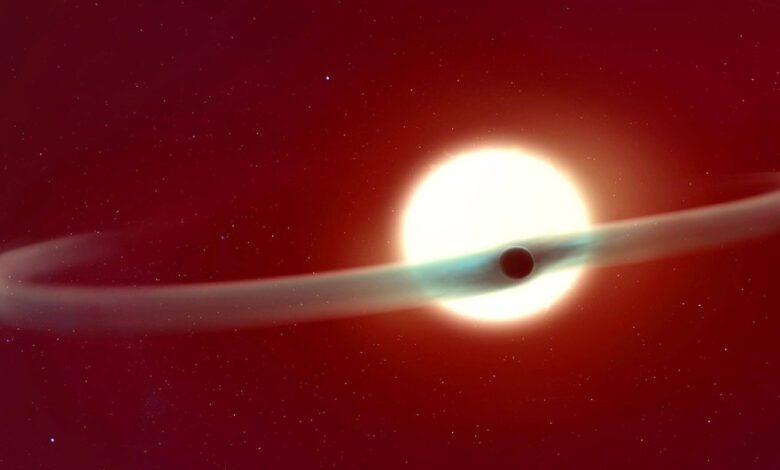 James Webb Telescope Detects Giant Helium Tails Around Exoplanet WASP-121b