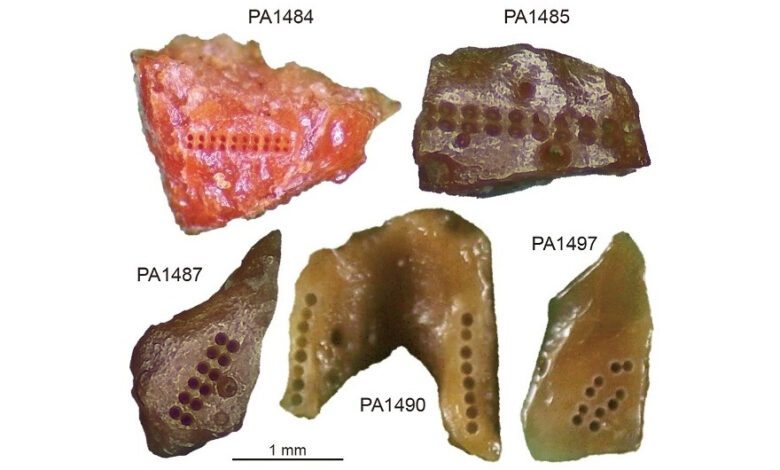 Archaic Humans from Xujiayao Lived in China Between 207,000 and 128,000 Years Ago