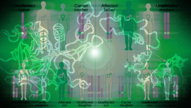 ΠΡΡΠΈΠ»Π΅ΡΠ½ΠΈΠΉ ΡΡΠΏΠ΅Ρ
Π³Π΅Π½Π½ΠΎΠΉ ΡΠ΅ΡΠ°ΠΏΠΈΠΈ Π³Π΅ΠΌΠΎΡΠΈΠ»ΠΈΠΈ B: Π½ΠΎΠ²ΡΠ΅ Π³ΠΎΡΠΈΠ·ΠΎΠ½ΡΡ ΠΌΠ΅Π΄ΠΈΡΠΈΠ½Ρ