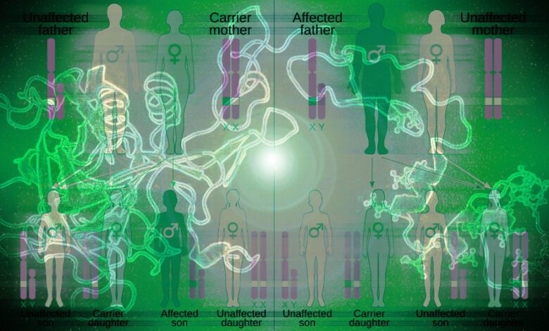Five Years of Gene Therapy Success for Hemophilia B: New Frontiers in Medicine