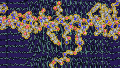Испанские врачи выявили связь между препаратами для диабета и риском эпилепсии