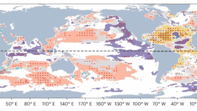 Четверть поверхности океана подверглась резким климатическим изменениям за последние годы