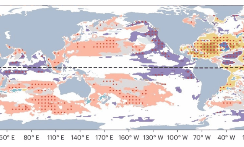A Quarter of the Ocean’s Surface Has Undergone Dramatic Climate Changes in Recent Years