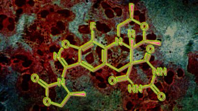 Экспериментальный антибиотик показал высокую эффективность против гонореи в клиниках Европы