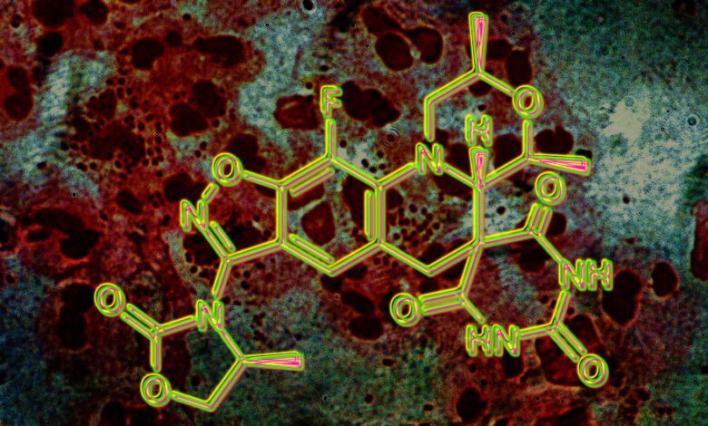 Экспериментальный антибиотик показал высокую эффективность против гонореи в клиниках Европы