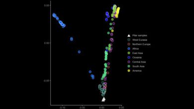 В Бразилии нашли массовое захоронение европейцев XVII века