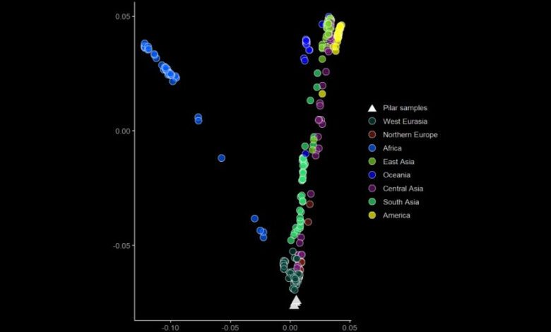 Mass Grave of 17th-Century Europeans Who Died in Epidemic Discovered in Brazil