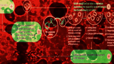 В США одобрена инновационная клеточная терапия для борьбы с тяжелой апластической анемией