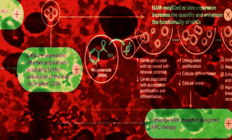 US Approves Innovative Cell Therapy for Severe Aplastic Anemia