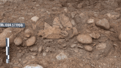 Археологи обнаружили в Швейцарии амфору с древнеримским рыбным соусом