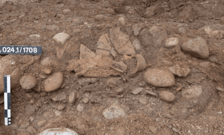 Archaeologists Discover Amphora Containing Ancient Roman Fish Sauce in Switzerland