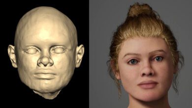 Ученые развеяли миф о происхождении Леди с Бичи-Хеда в Британии