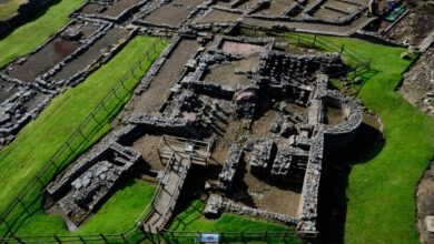 Археологи нашли следы древних паразитов в канализации римской крепости Виндоланда