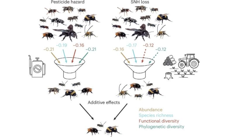 Bees in Spain Continue to Disappear Despite Buffer Zones Near Fields