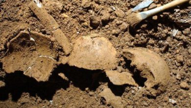 В Италии найден древнейший случай инцеста между отцом и дочерью в бронзовом веке