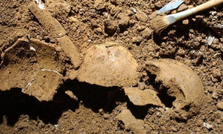 Oldest Known Case of Incest Between Father and Daughter in the Bronze Age Found in Italy