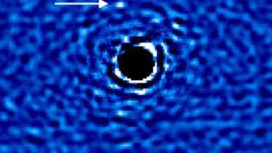 Испанские астрономы впервые зафиксировали экзогиганта на тесной орбите двойной звезды
