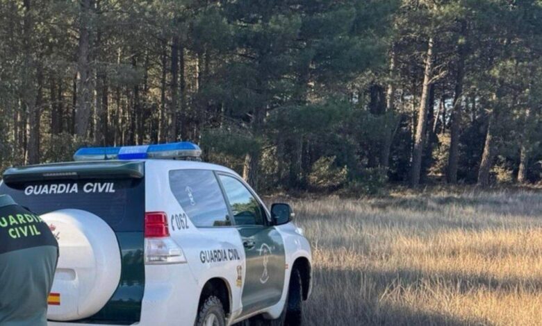 Detenido en Soria un hombre con un arma pese a la prohibición por violencia doméstica