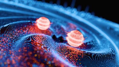 Эксперимент квантового стирателя заставил учёных пересмотреть реальность