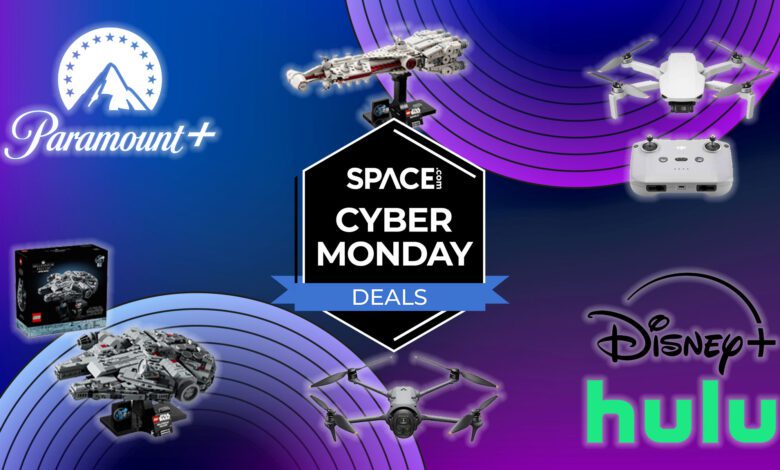 Final Sale Day: Best Deals on Streaming, Lego, and Drones