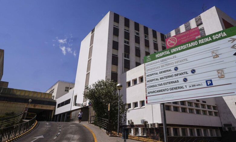 Córdoba hospital carries out record number of complex transplants in a week