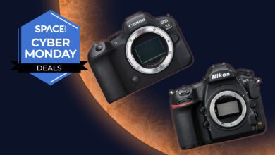 Финальные скидки на камеры Canon Sony и Nikon после Киберпонедельника