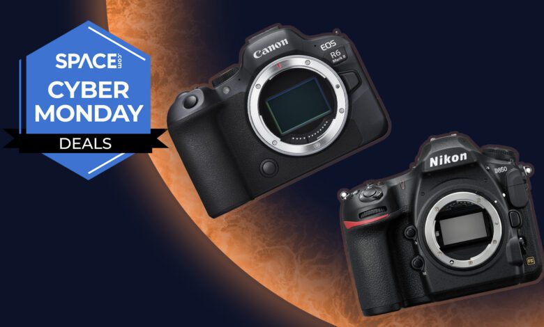 Финальные скидки на камеры Canon Sony и Nikon после Киберпонедельника