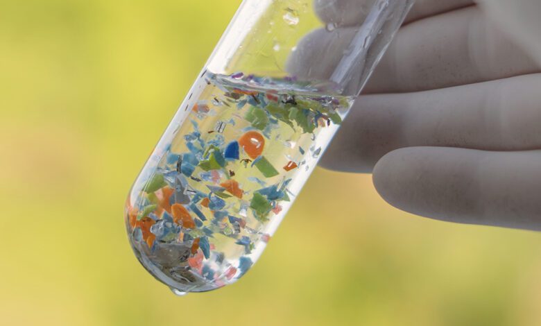 Microplastics Fuel the Spread of Dangerous Bacteria and Antibiotic Resistance