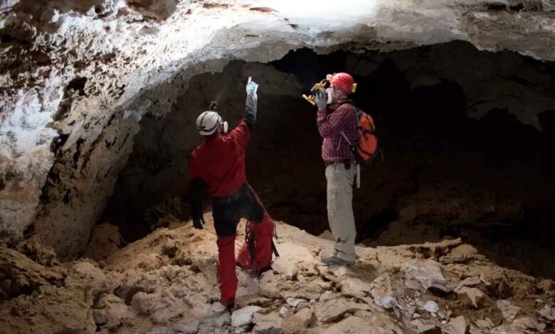 Archaeologists Uncover Evidence of Ancient Human Life in the Arabian Desert