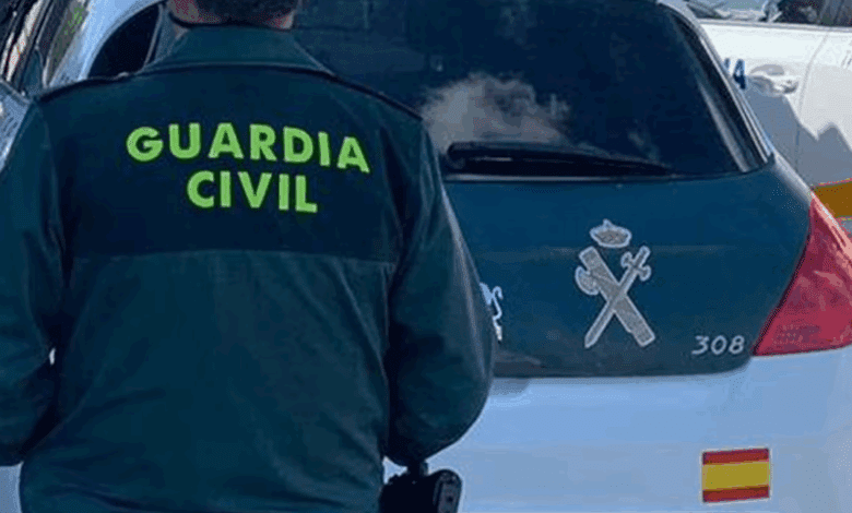 Hornachos Resident Arrested in Extremadura for Stealing 41 Lambs from Farm