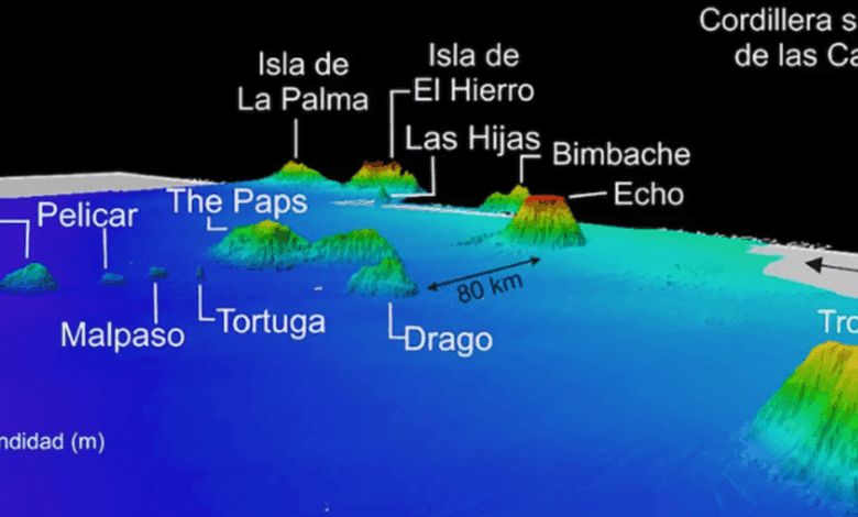 Минеральное сокровище Атлантики: кому достанется подводный вулкан у Канарских островов
