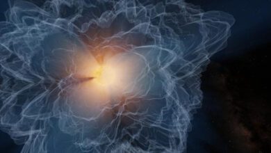 Ученые впервые подробно картографировали границу атмосферы Солнца