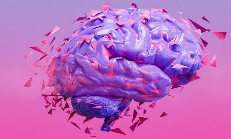 How the Human Brain Outperforms Artificial Intelligence in Learning and Adaptation