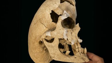 Π ΠΡΠΏΠ°Π½ΠΈΠΈ Π½Π°ΡΠ»ΠΈ ΠΎΡΡΠ°Π½ΠΊΠΈ ΡΡΡΠ°ΡΡ Ρ Π°Π½ΠΎΠΌΠ°Π»ΡΠ½ΠΎ Π²ΡΡΡΠ½ΡΡΡΠΌ ΡΠ΅ΡΠ΅ΠΏΠΎΠΌ