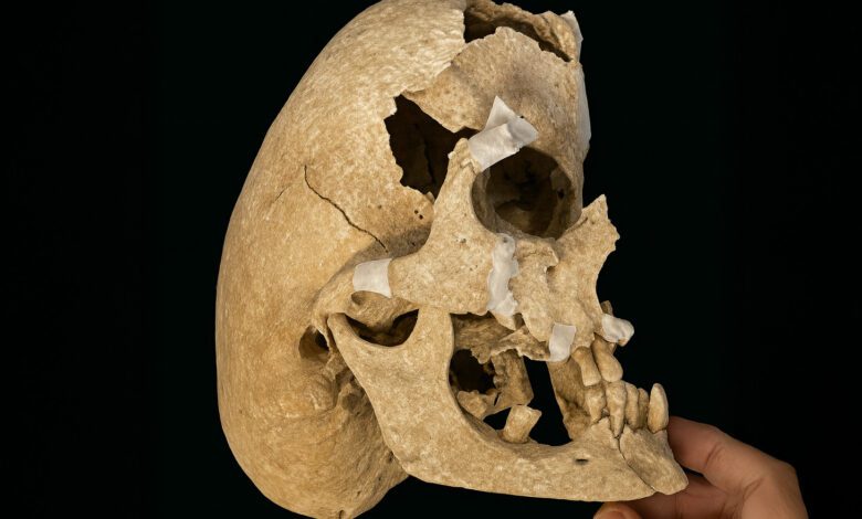 Remains of Knight with Abnormally Elongated Skull Discovered in Spain