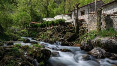 ΠΡΠΎΡΠ΅ΡΠ½Π°Ρ Π°ΡΡΡΡΠΈΠΉΡΠΊΠ°Ρ Π΄Π΅ΡΠ΅Π²Π½Ρ Π±Π΅Π· Π΄ΠΎΡΠΎΠ³ ΠΈ ΡΠ²ΡΠ·ΠΈ Π΄Π»Ρ ΠΏΠΎΠ»Π½ΠΎΠ³ΠΎ ΡΠ΅Π΄ΠΈΠ½Π΅Π½ΠΈΡ Π² Π³ΠΎΡΠ°Ρ