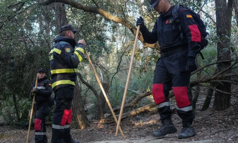Aparecen cerca de 50 jabalíes muertos en zona de cuarentena en las afueras de Barcelona