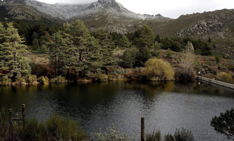 Madrid’s Oldest Park with Granite Mountains Becomes a UNESCO Reserve