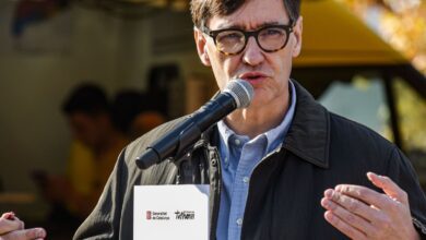 В Каталонии началась масштабная проверка лабораторий после вспышки африканской чумы свиней