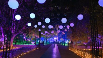 Волшебная зима в Мурсии: рождественский рынок