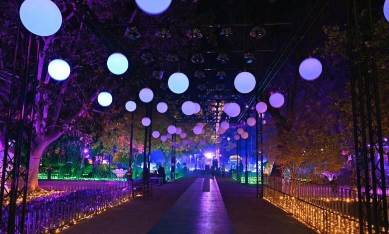 Magical Winter in Murcia: Christmas Market, Seaside Walks, and Concerts