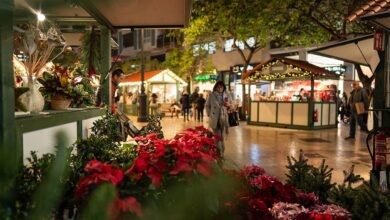 Рождественские ярмарки Валенсии 2025: полный гид по лучшим местам