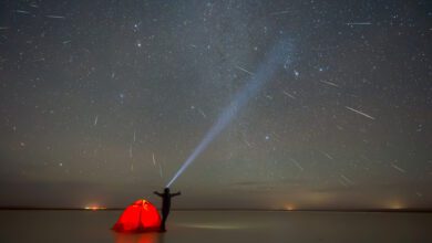 Геминиды 2025: где в США лучше всего наблюдать метеорный поток